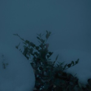 채세파 - '불안의 형태화'[REC,MIX,MA] Mixed by 양하정